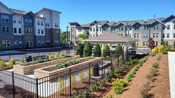 Community garden